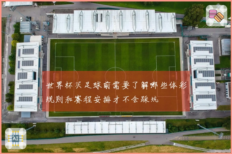 世界杯买足球前需要了解哪些体彩规则和赛程安排才不会踩坑