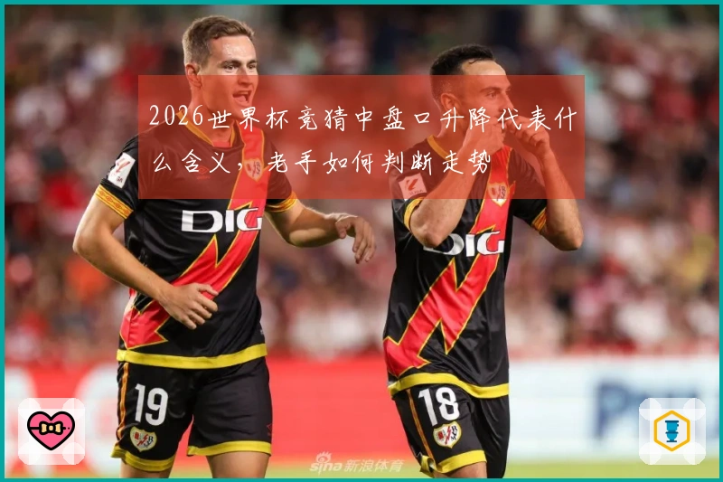 2026世界杯竞猜中盘口升降代表什么含义，老手如何判断走势