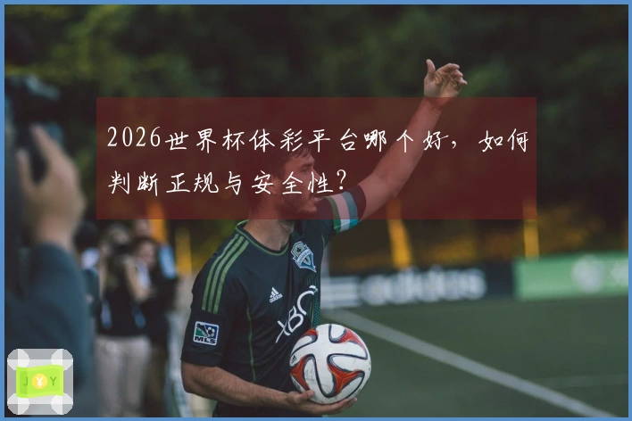 2026世界杯体彩平台哪个好，如何判断正规与安全性？