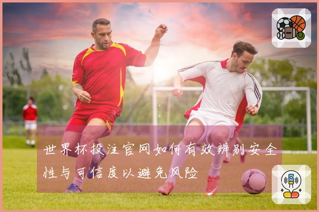 世界杯投注官网如何有效辨别安全性与可信度以避免风险