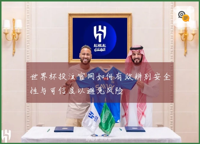 世界杯投注官网如何有效辨别安全性与可信度以避免风险